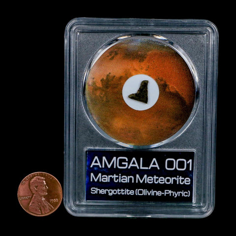 Mars Rock Martian Meteorite Amgala 001 Shergottite Olivine-Phyric COA And Display - Fossil Age Minerals