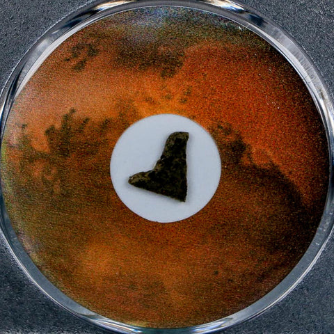 Mars Rock Martian Meteorite Amgala 001 Shergottite Olivine-Phyric COA And Display - Fossil Age Minerals