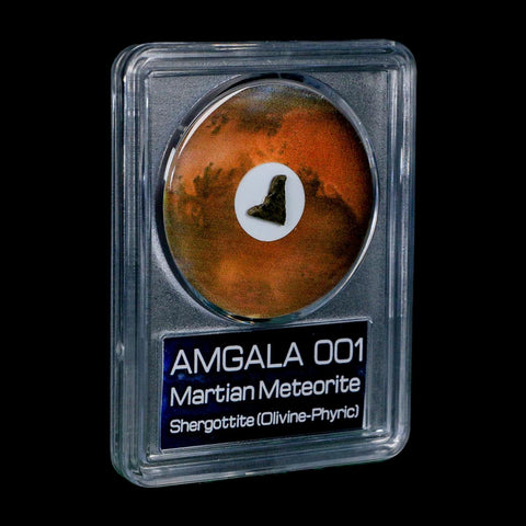 Mars Rock Martian Meteorite Amgala 001 Shergottite Olivine-Phyric COA And Display - Fossil Age Minerals
