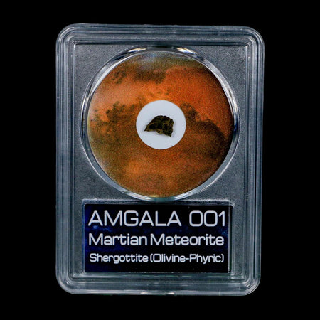 Mars Rock Martian Meteorite Amgala 001 Shergottite Olivine-Phyric COA And Display