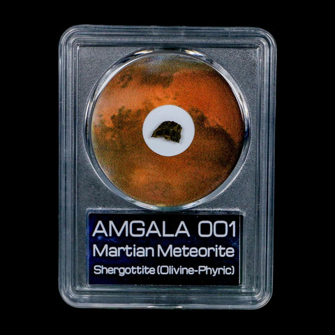 Mars Rock Martian Meteorite Amgala 001 Shergottite Olivine-Phyric COA And Display - Fossil Age Minerals