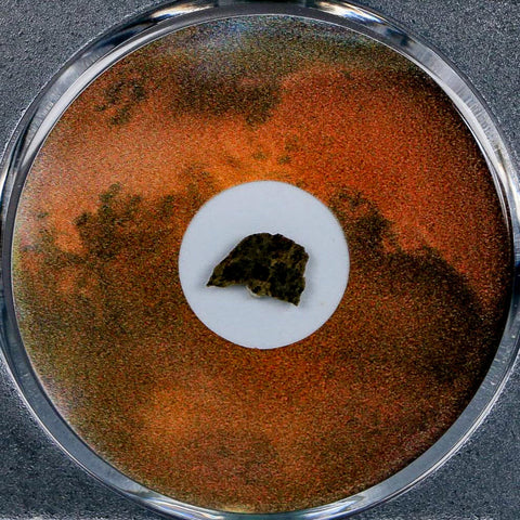 Mars Rock Martian Meteorite Amgala 001 Shergottite Olivine-Phyric COA And Display - Fossil Age Minerals