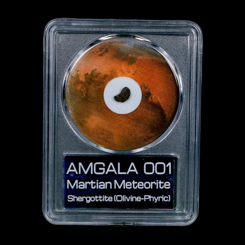 Mars Rock Martian Meteorite Amgala 001 Shergottite Olivine-Phyric COA And Display - Fossil Age Minerals