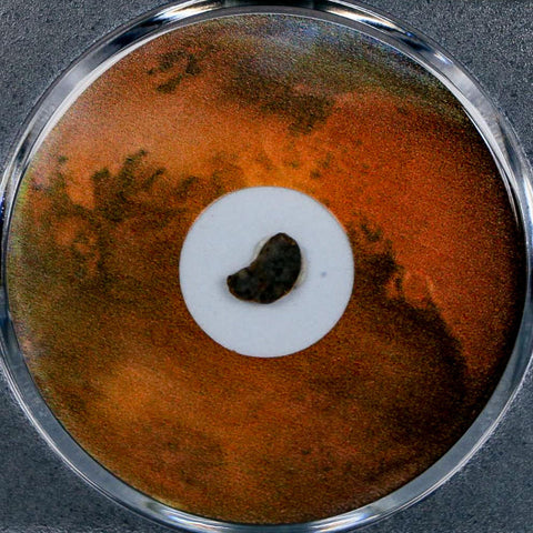 Mars Rock Martian Meteorite Amgala 001 Shergottite Olivine-Phyric COA And Display - Fossil Age Minerals