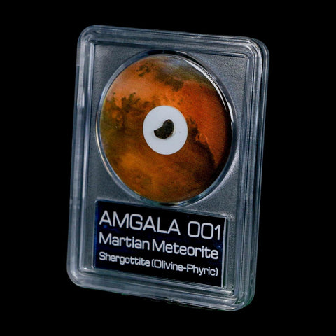 Mars Rock Martian Meteorite Amgala 001 Shergottite Olivine-Phyric COA And Display - Fossil Age Minerals