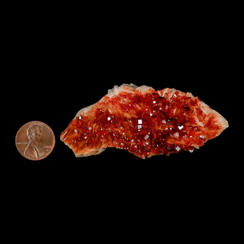 3.1" Sparkly Red Vanadinite Crystals Orange Barite Blades Mineral Mabladen Morocco - Fossil Age Minerals