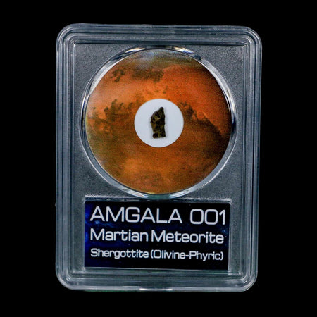 Mars Rock Martian Meteorite Amgala 001 Shergottite Olivine-Phyric COA And Display