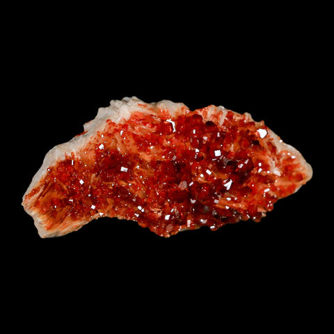 3.1" Sparkly Red Vanadinite Crystals Orange Barite Blades Mineral Mabladen Morocco - Fossil Age Minerals