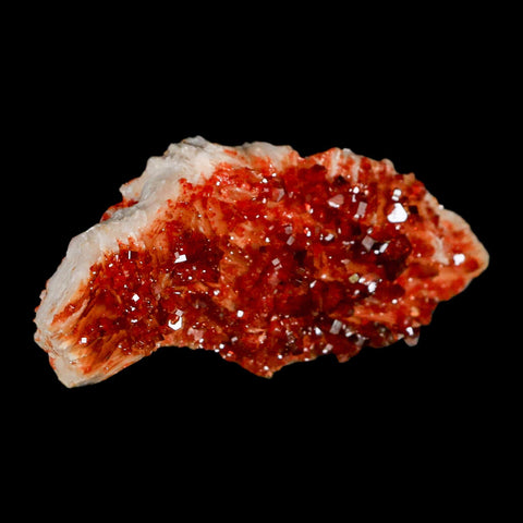 3.1" Sparkly Red Vanadinite Crystals Orange Barite Blades Mineral Mabladen Morocco - Fossil Age Minerals