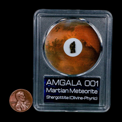 Mars Rock Martian Meteorite Amgala 001 Shergottite Olivine-Phyric COA And Display - Fossil Age Minerals