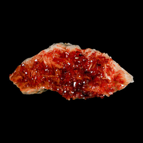 3.1" Sparkly Red Vanadinite Crystals Orange Barite Blades Mineral Mabladen Morocco - Fossil Age Minerals