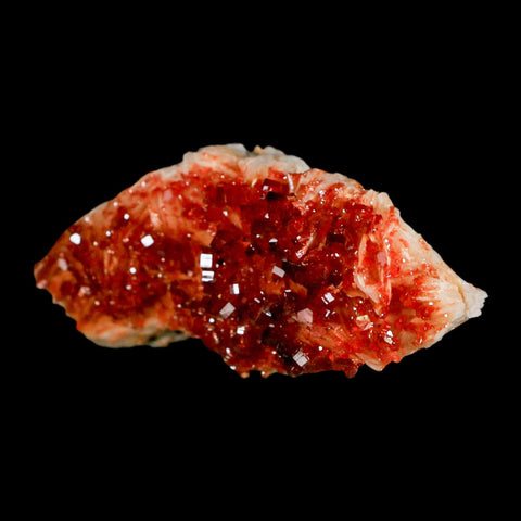 3.1" Sparkly Red Vanadinite Crystals Orange Barite Blades Mineral Mabladen Morocco - Fossil Age Minerals