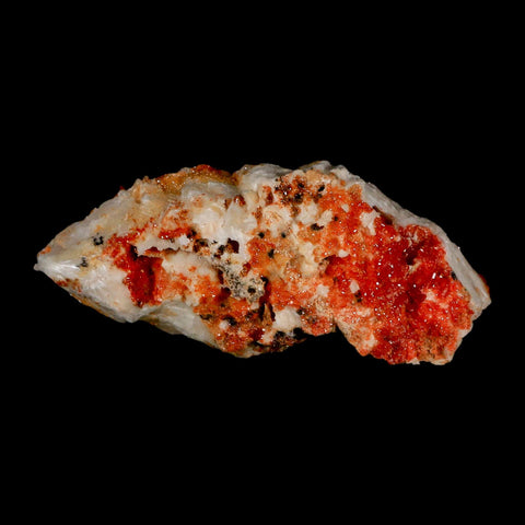 3.1" Sparkly Red Vanadinite Crystals Orange Barite Blades Mineral Mabladen Morocco - Fossil Age Minerals