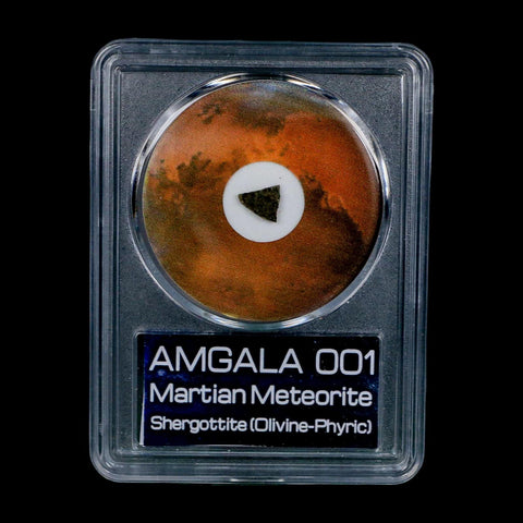 Mars Rock Martian Meteorite Amgala 001 Shergottite Olivine-Phyric COA And Display - Fossil Age Minerals