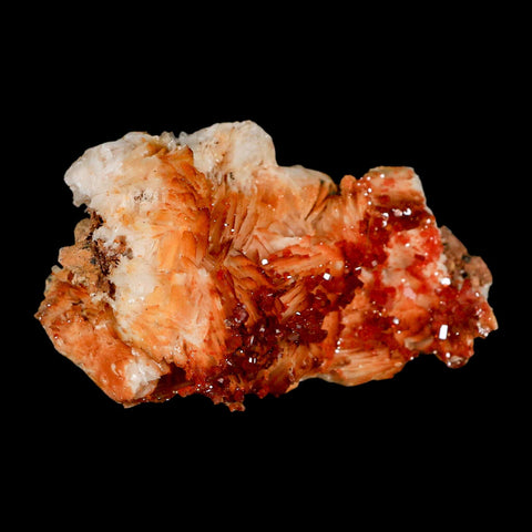 3.2" Sparkly Red Vanadinite Crystals Orange Barite Blades Mineral Mabladen Morocco - Fossil Age Minerals