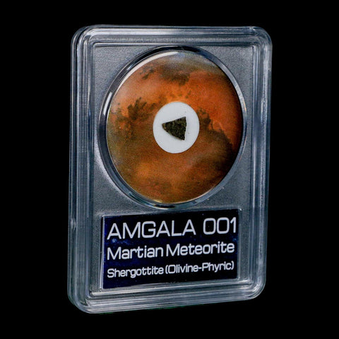 Mars Rock Martian Meteorite Amgala 001 Shergottite Olivine-Phyric COA And Display - Fossil Age Minerals