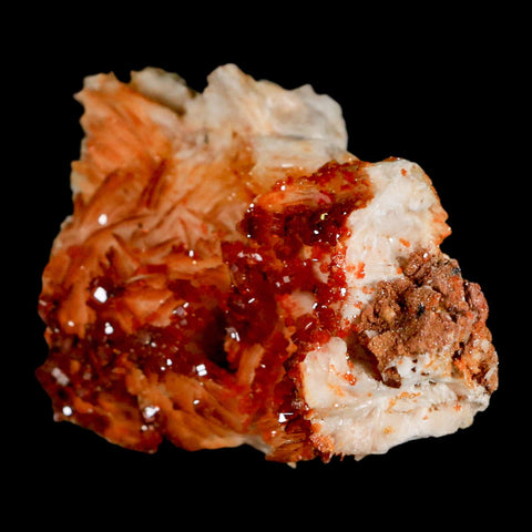 3.2" Sparkly Red Vanadinite Crystals Orange Barite Blades Mineral Mabladen Morocco - Fossil Age Minerals