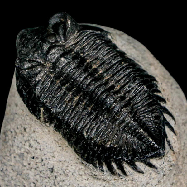 1.8