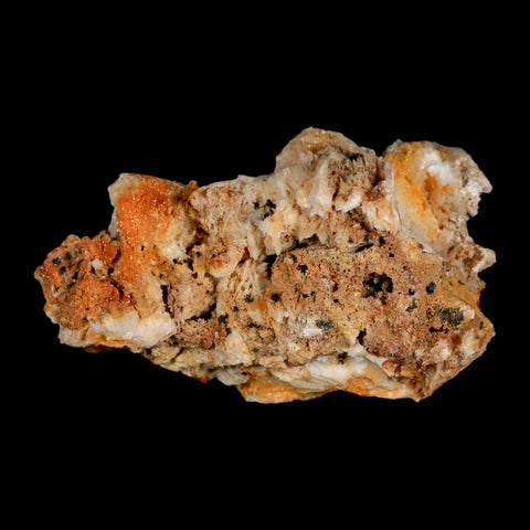 3.2" Sparkly Red Vanadinite Crystals Orange Barite Blades Mineral Mabladen Morocco - Fossil Age Minerals