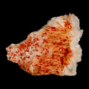 3.2" Sparkly Red Vanadinite Crystals Orange Barite Blades Mineral Mabladen Morocco