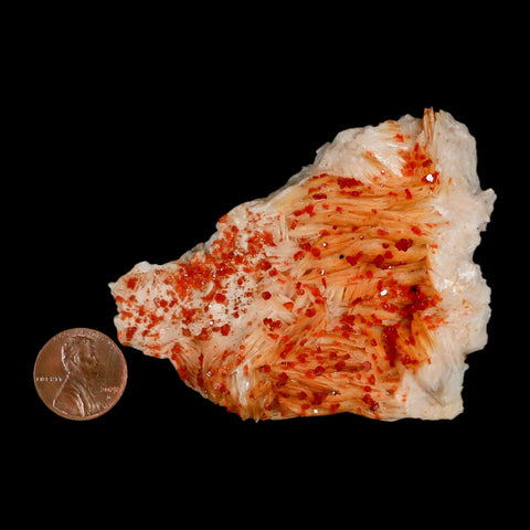 3.2" Sparkly Red Vanadinite Crystals Orange Barite Blades Mineral Mabladen Morocco - Fossil Age Minerals