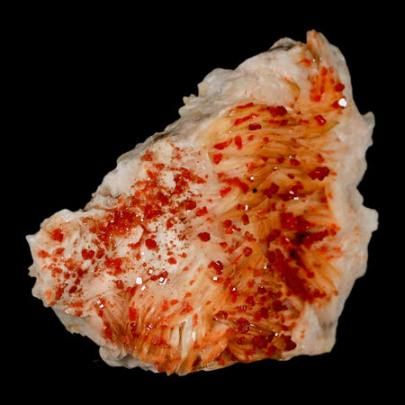 3.2" Sparkly Red Vanadinite Crystals Orange Barite Blades Mineral Mabladen Morocco
