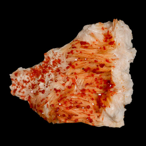 3.2" Sparkly Red Vanadinite Crystals Orange Barite Blades Mineral Mabladen Morocco - Fossil Age Minerals