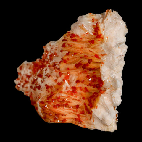 3.2" Sparkly Red Vanadinite Crystals Orange Barite Blades Mineral Mabladen Morocco - Fossil Age Minerals