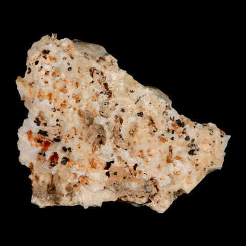 3.2" Sparkly Red Vanadinite Crystals Orange Barite Blades Mineral Mabladen Morocco - Fossil Age Minerals