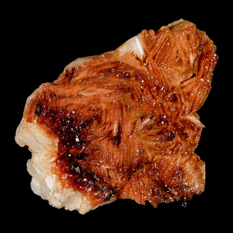 3.6" Sparkly Orange Vanadinite Crystals Orange Barite Blades Mineral Mabladen Morocco - Fossil Age Minerals