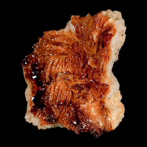 3.6" Sparkly Orange Vanadinite Crystals Orange Barite Blades Mineral Mabladen Morocco - Fossil Age Minerals