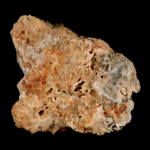3.6" Sparkly Orange Vanadinite Crystals Orange Barite Blades Mineral Mabladen Morocco - Fossil Age Minerals