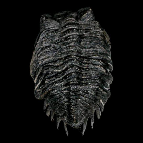 1.9