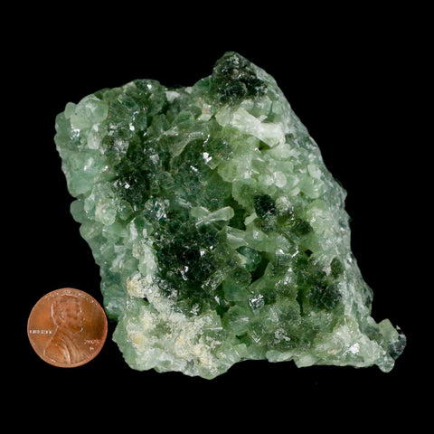 3.2" Rough Green Prehnite Crystal Mineral Specimen Location Imilchil, Morocco - Fossil Age Minerals