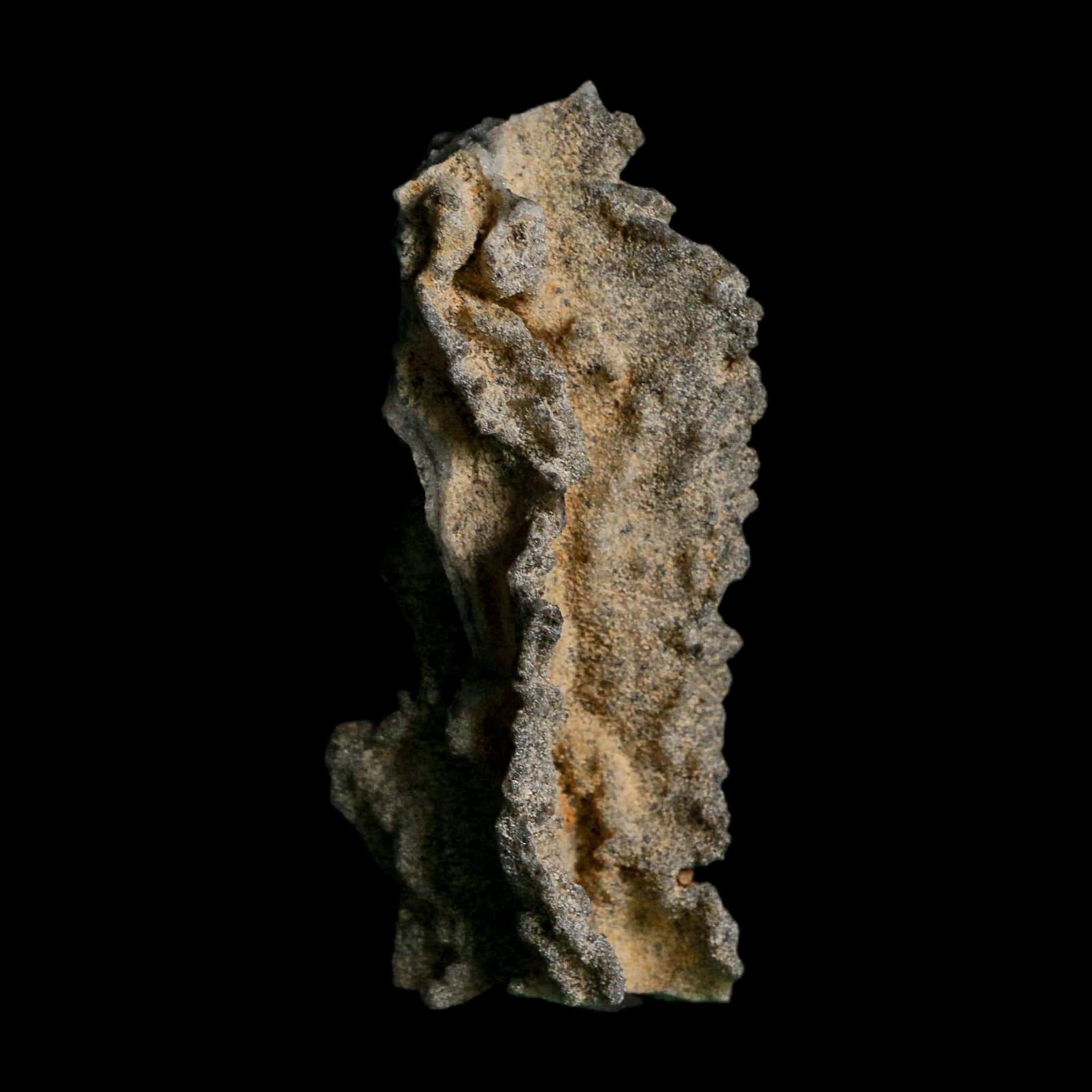 3" Fulgurite Petrified Lightning Strike Glass Sahara Desert Algeria - Fossil Age Minerals