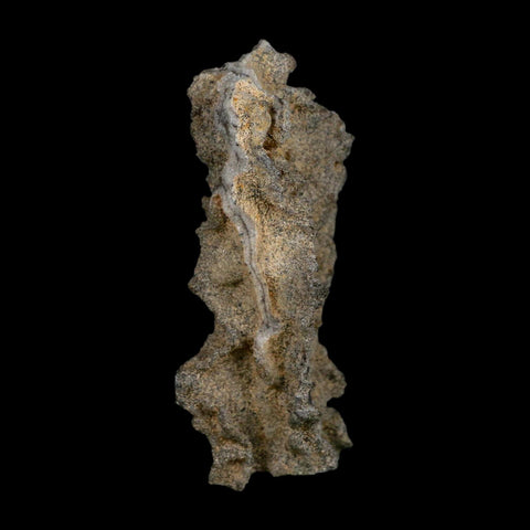 3" Fulgurite Petrified Lightning Strike Glass Sahara Desert Algeria - Fossil Age Minerals