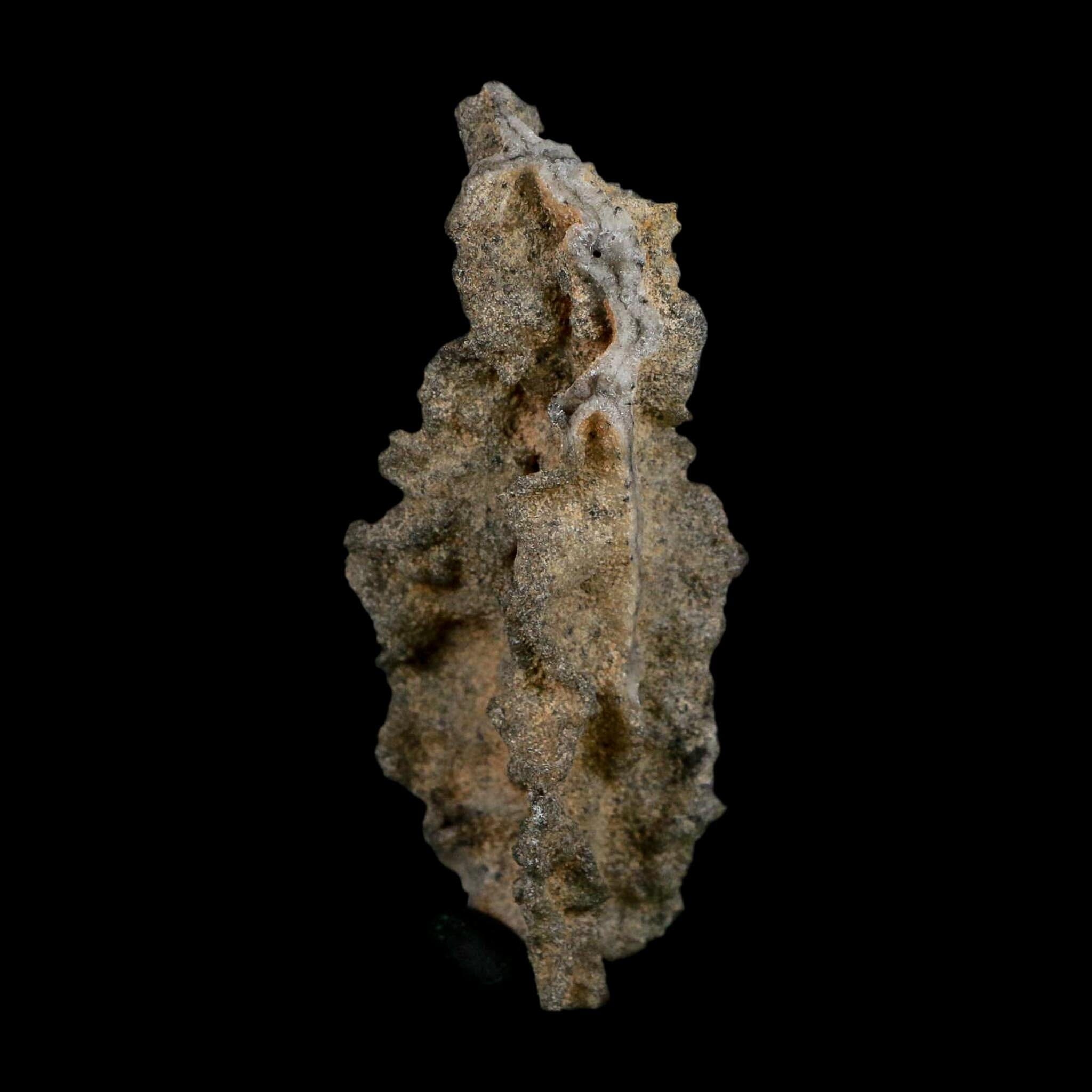 3" Fulgurite Petrified Lightning Strike Glass Sahara Desert Algeria - Fossil Age Minerals