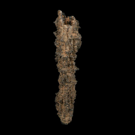4.1" Fulgurite Petrified Lightning Strike Glass Sahara Desert Algeria