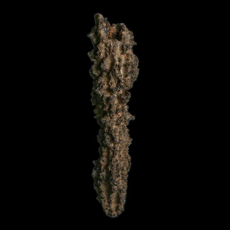 4.1" Fulgurite Petrified Lightning Strike Glass Sahara Desert Algeria