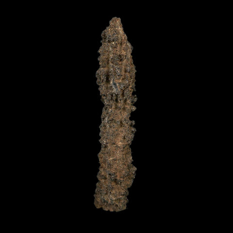 4.1" Fulgurite Petrified Lightning Strike Glass Sahara Desert Algeria - Fossil Age Minerals