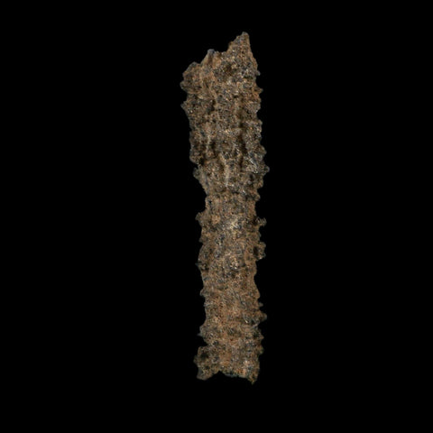 4.1" Fulgurite Petrified Lightning Strike Glass Sahara Desert Algeria - Fossil Age Minerals