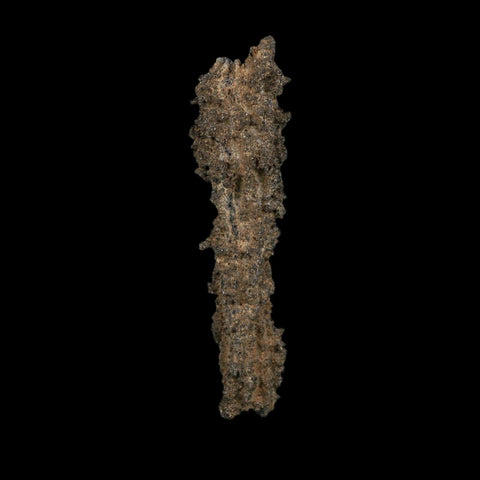 4.1" Fulgurite Petrified Lightning Strike Glass Sahara Desert Algeria - Fossil Age Minerals