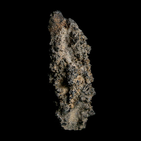 2.5" Fulgurite Petrified Lightning Strike Glass Sahara Desert Algeria - Fossil Age Minerals