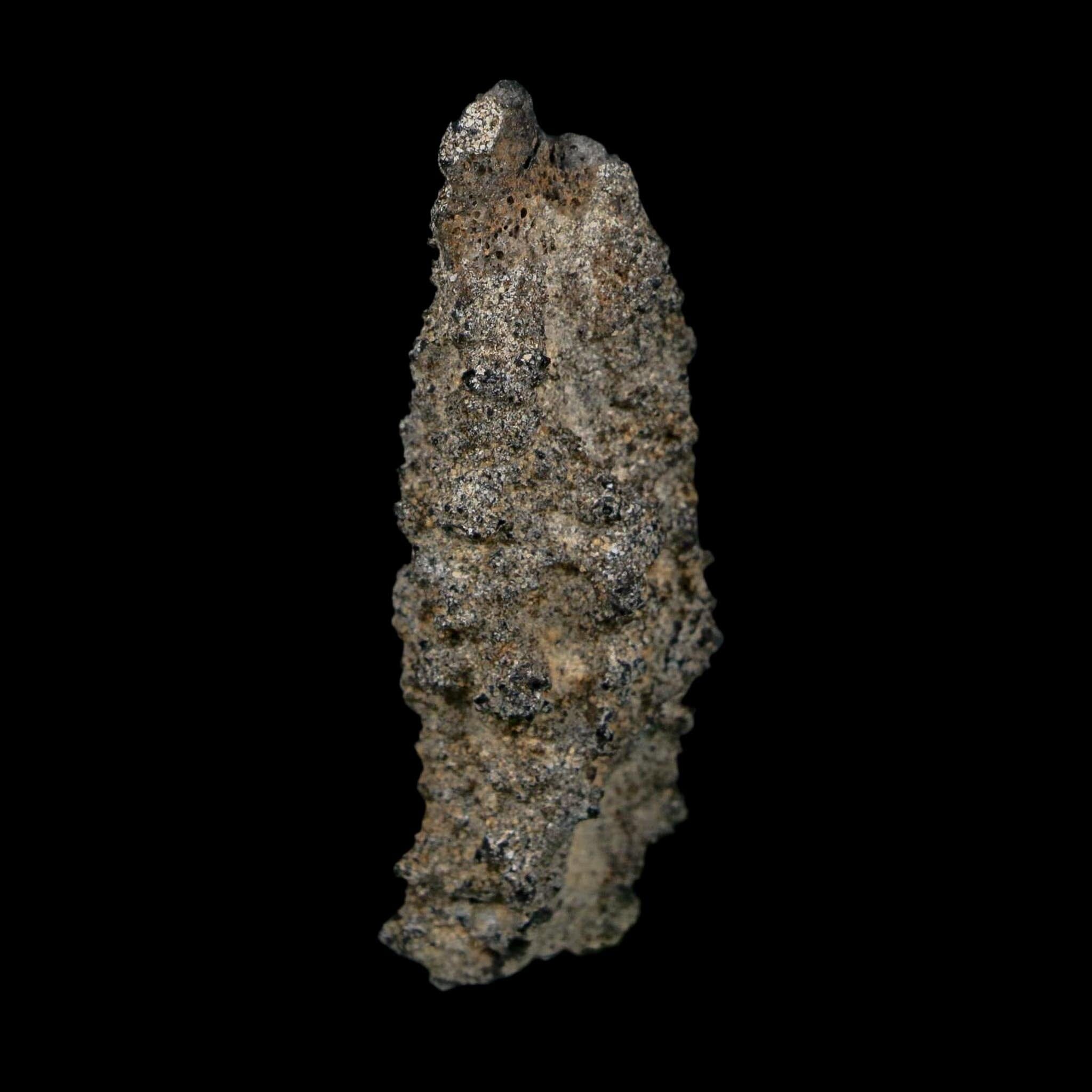 2.5" Fulgurite Petrified Lightning Strike Glass Sahara Desert Algeria - Fossil Age Minerals