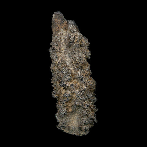 2.5" Fulgurite Petrified Lightning Strike Glass Sahara Desert Algeria - Fossil Age Minerals