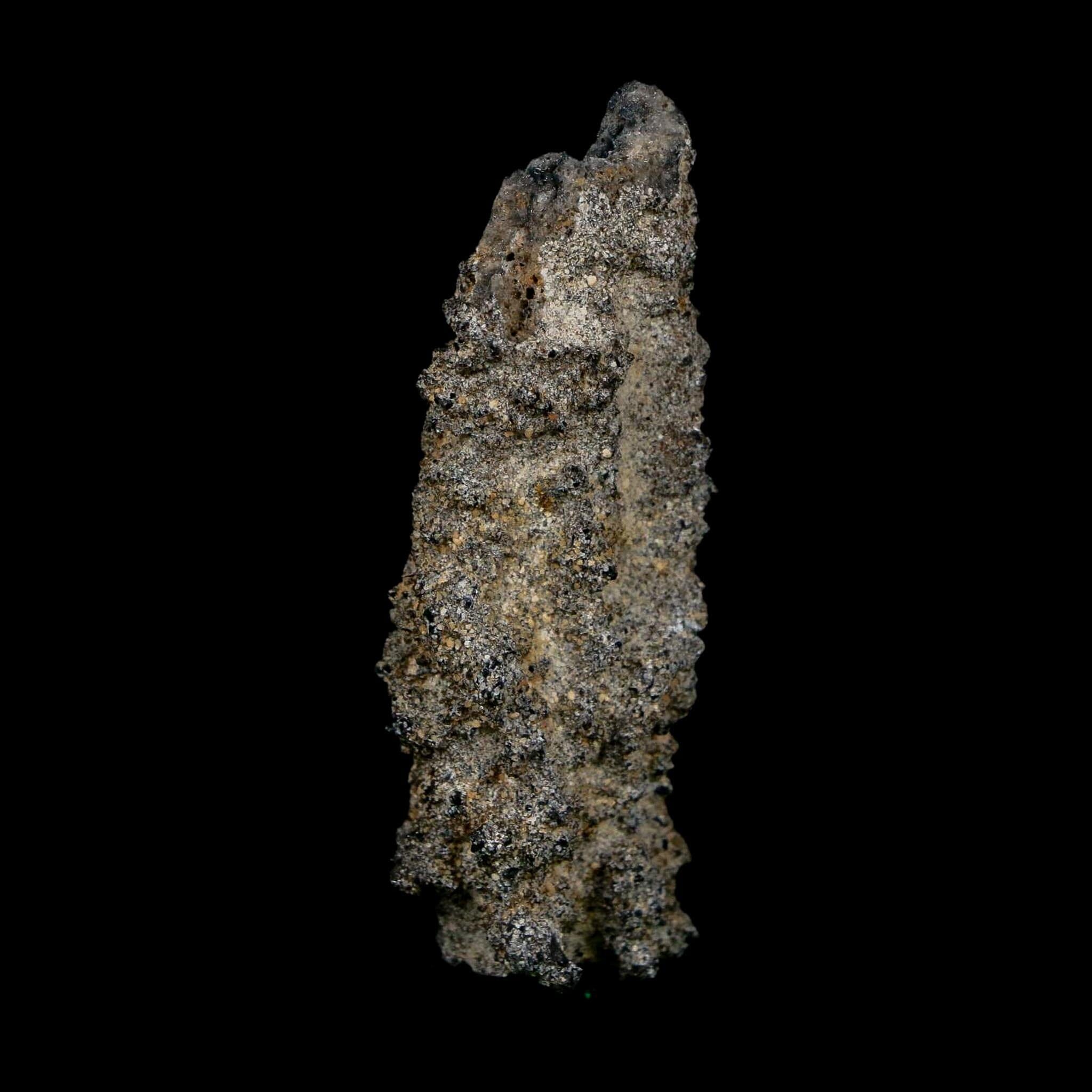 2.5" Fulgurite Petrified Lightning Strike Glass Sahara Desert Algeria - Fossil Age Minerals