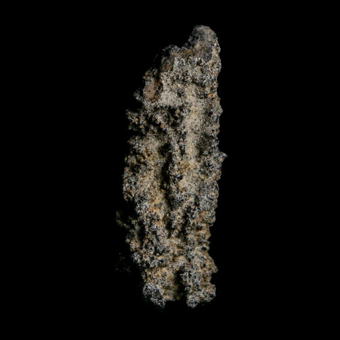 2.5" Fulgurite Petrified Lightning Strike Glass Sahara Desert Algeria - Fossil Age Minerals