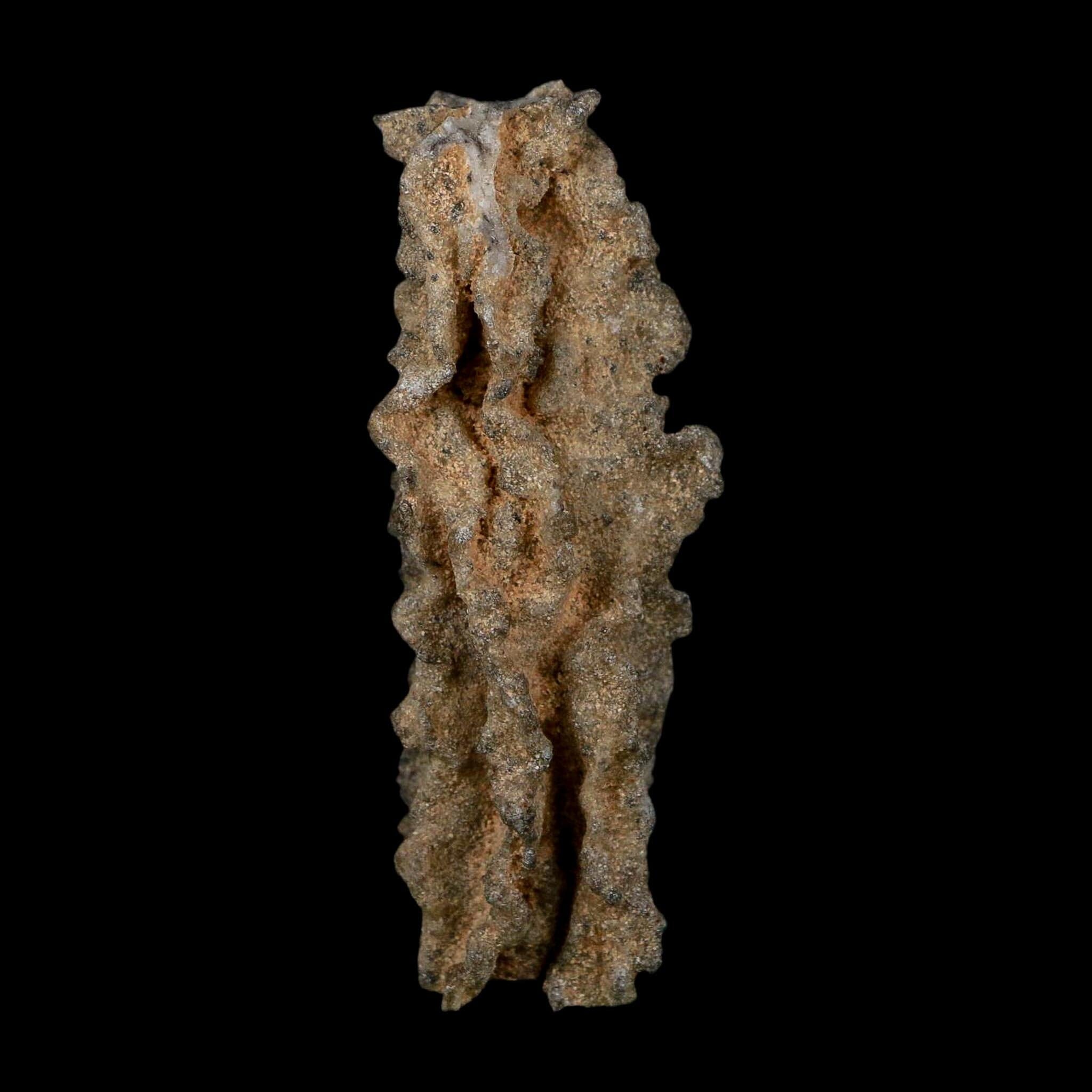 3.1" Fulgurite Petrified Lightning Strike Glass Sahara Desert Algeria - Fossil Age Minerals