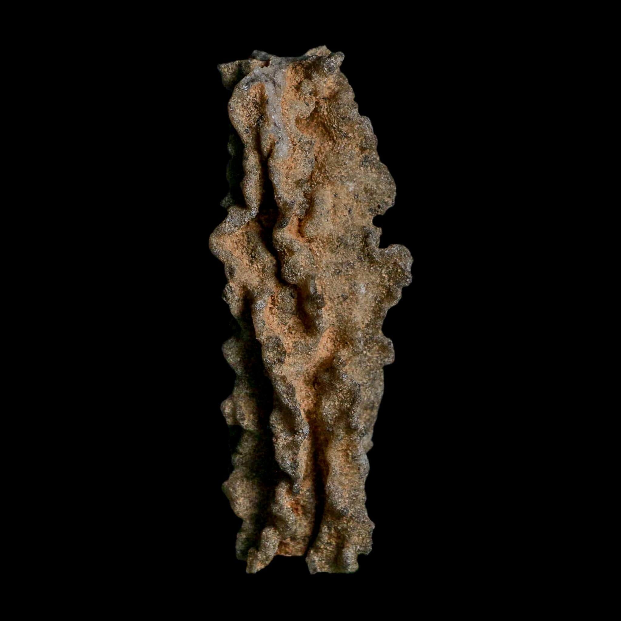 3.1" Fulgurite Petrified Lightning Strike Glass Sahara Desert Algeria - Fossil Age Minerals