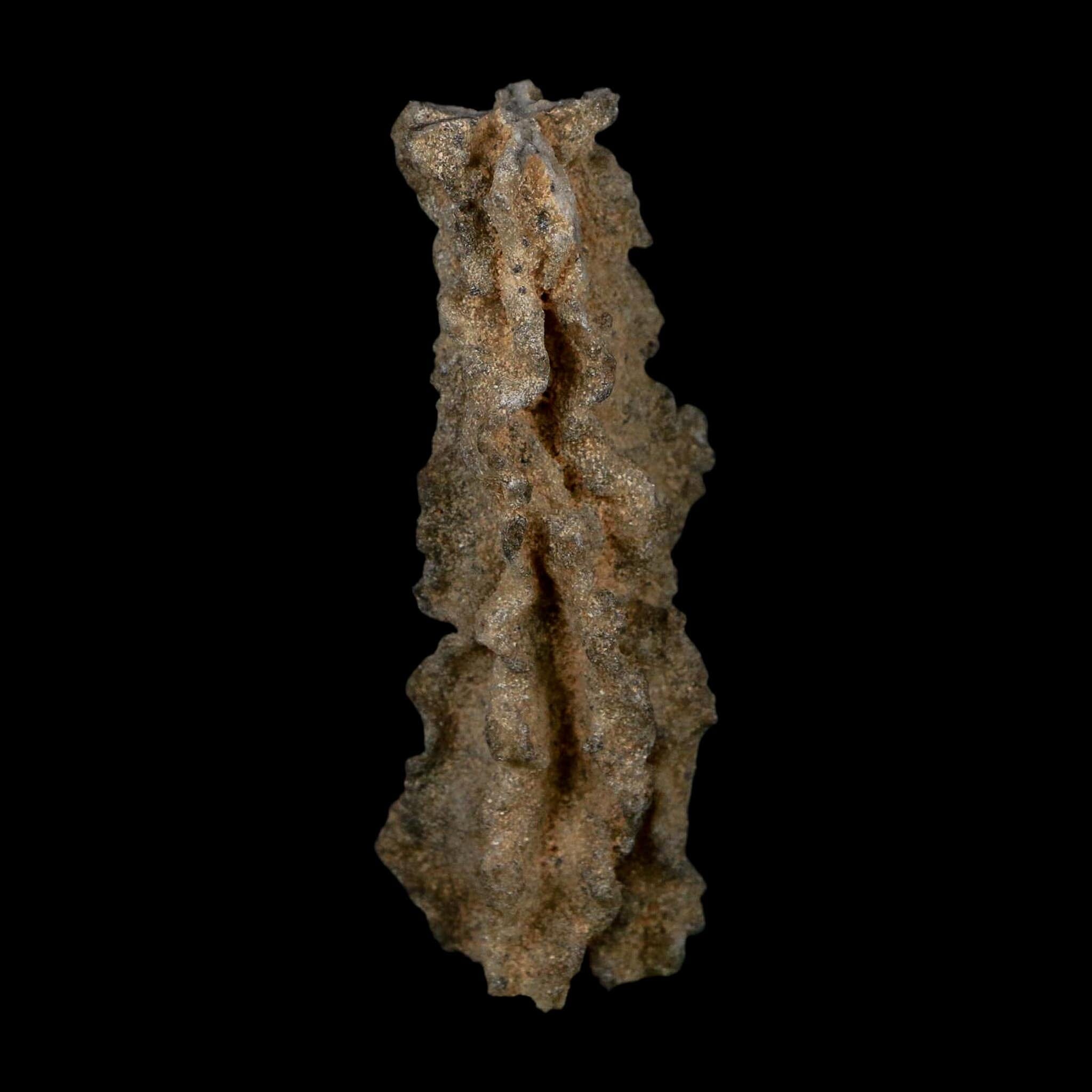 3.1" Fulgurite Petrified Lightning Strike Glass Sahara Desert Algeria - Fossil Age Minerals